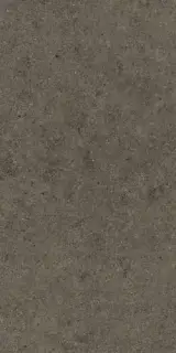 BOOST STONE Tobacco 60x120