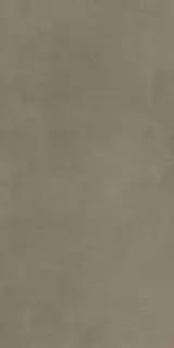 Boost Pro Taupe 60x120 20 mm