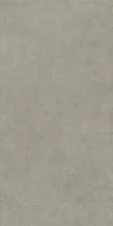 Boost Mineral Grey Elegant 120x240 20mm