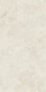 Boost Icor Bone 60x120 - 20mm