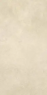 Boost Expression Camel 30x60