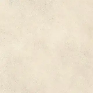 Boost Expression Shell 60x60 - 20mm