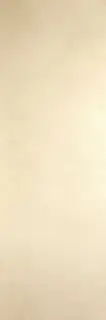 Blend Avorio 100х300 5