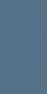 Плитка PF60008234 Whale Ret 60x120