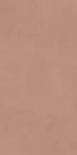 Керамогранит PF60016434 Alterego Cotto Nat Rett 60x120