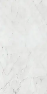 Керамогранит PF60012758 Carrara Nat Ret 60x120