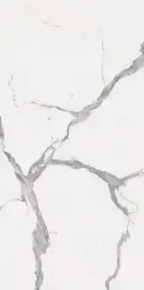 Керамогранит PF60005735 Sensi Up Statuario Versilia Ret 60x120