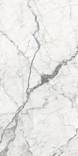 Керамогранит Windsor white SShine 60х120