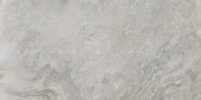 PORCELANOSA IMAGE SILVER 59.6х120 G-369