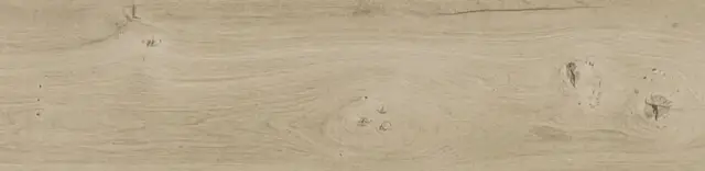 PORCELANOSA MANHATTAN MAPLE 29.4х120 G-384