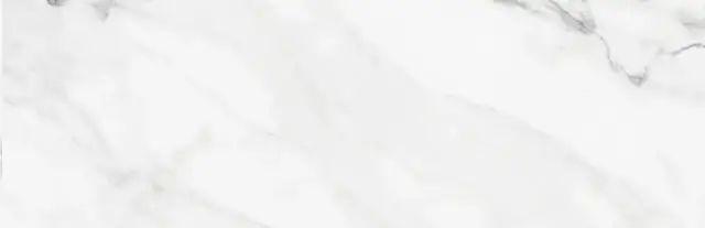 COLORKER INSIGNIA WHITE PULIDO 31.6х100 M-75