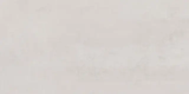 PORCELANOSA FERROKER PLATINO 59.6х120 G-369