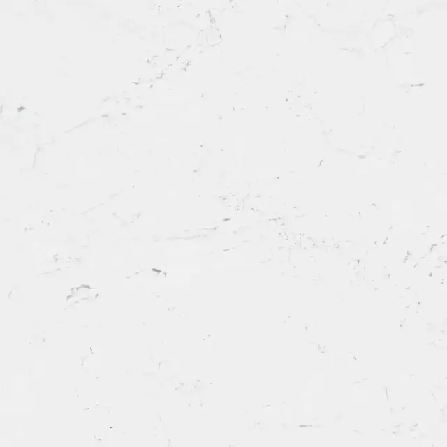 PORCELANOSA FONTANA MATT L 120х120x8 G-392