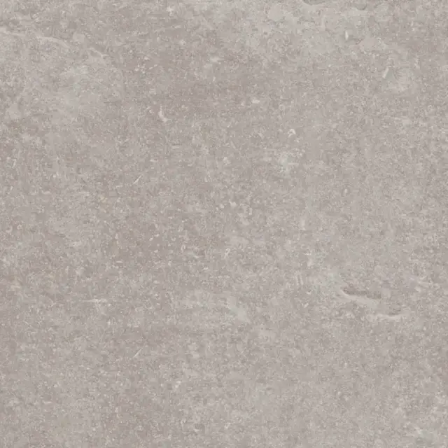 PORCELANOSA VERBIER SILVER L 59.6х59.6 G-354