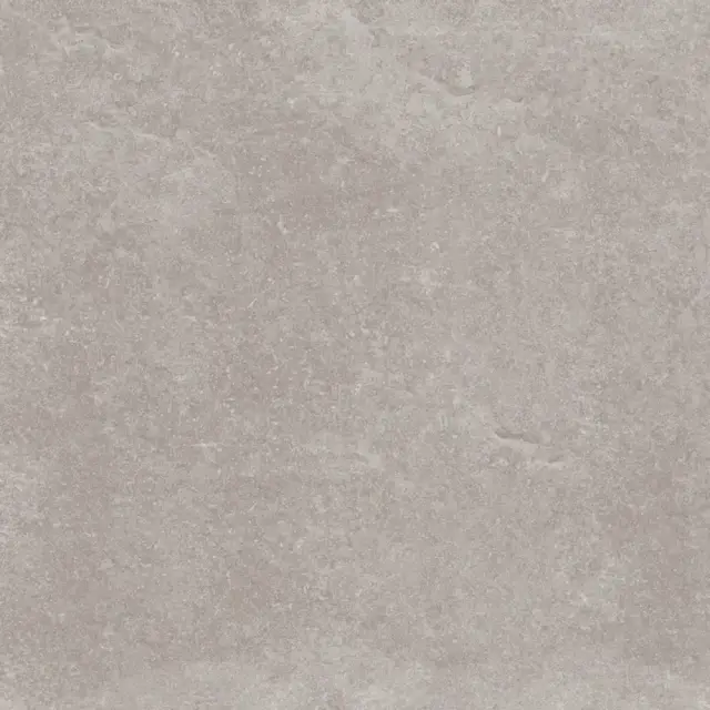 PORCELANOSA VERBIER SILVER L 120х120 G-392