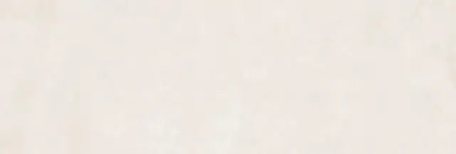 PERONDA GROUND BONE 33.3х100 BN-65