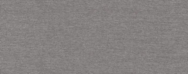 PORCELANOSA LINZ ANTRACITA 59.6х150 G-276