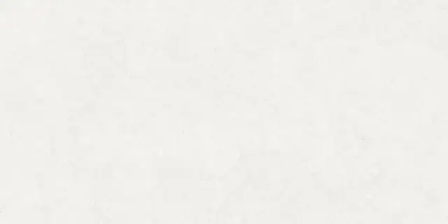 PERONDA GHENT WHITE AS 60х120x0.9 BN-116