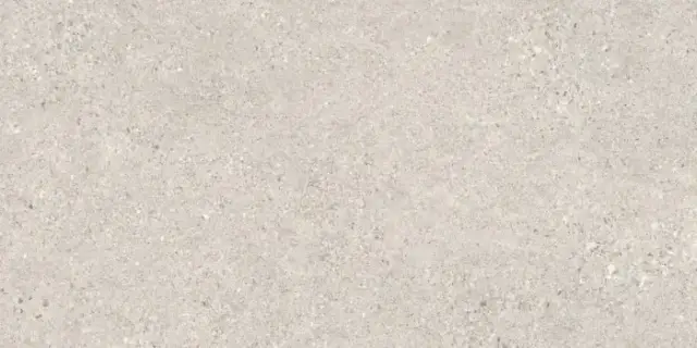 PERONDA MANHATTAN SILVER AS C/R 60х120 BN-116