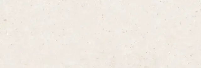 PERONDA MANHATTAN BONE SP 33.3х100 BN-8