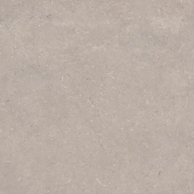 PORCELANOSA CORAL TOPO L 120х120 G-392
