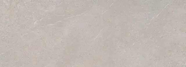 MUSEUM PIEMONTE TAUPE SP 100х275 M-95