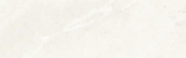 COLORKER DHARA WHITE 31.6х100 M-75