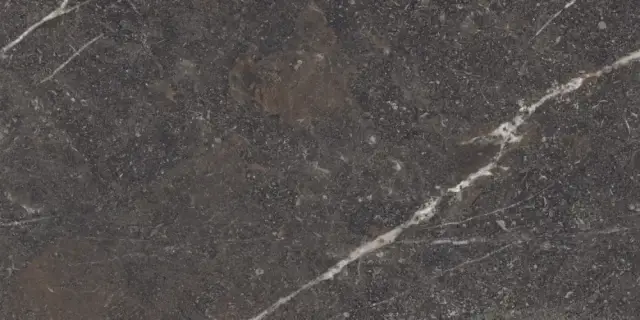 MUSEUM ROYAL BROWN SP 60х120x0.9 M-101