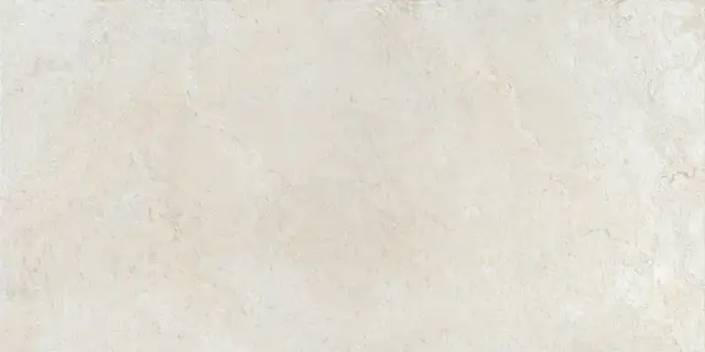 COLORKER ELEMENTS BONE 59.5х119.2 M-83