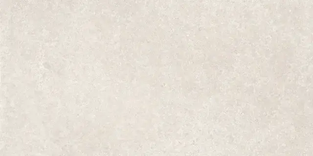 COLORKER NOORDAL BONE 59.5х119.2x0.8 M-83