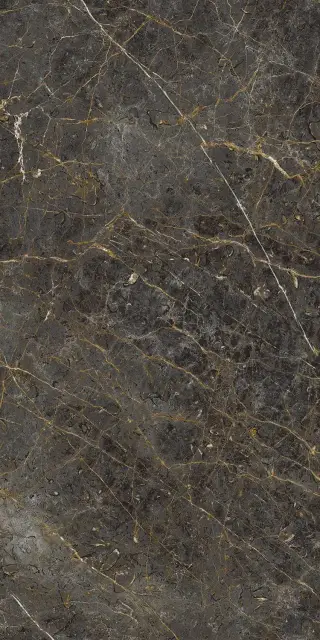 AE GOL6 12 LP 60x120