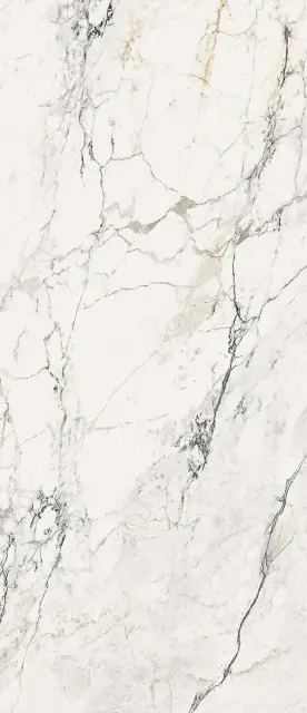 AE PAO6 278 LP 120x278