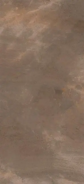 TREX6 260TO LP  120x260 XX