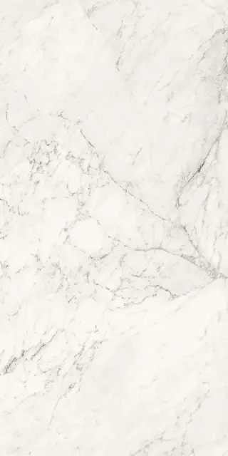 AE CAL6 12 LP |60x120