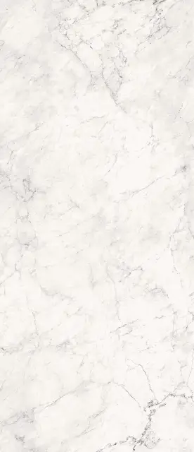 AE CAL6 278 LP 120x278