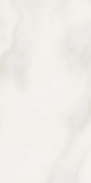 Abs Wh6 12LP |60x120