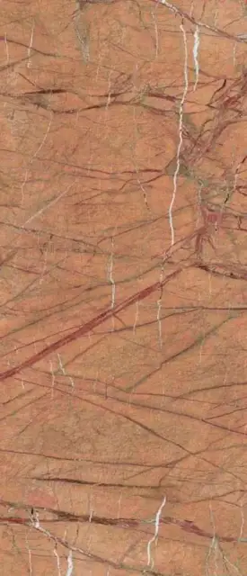 FOGOLD6 278 RM  120x278