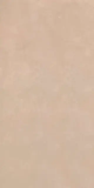 RTN6 TERRA12 RM 60x120