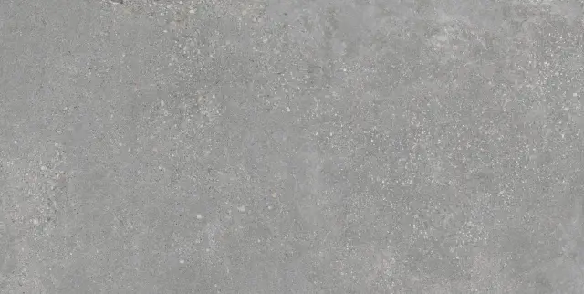 Плитка Geotiles Memory Gris 60x120 Matt