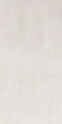 YLICO 60X120 LIGHT MATT R9