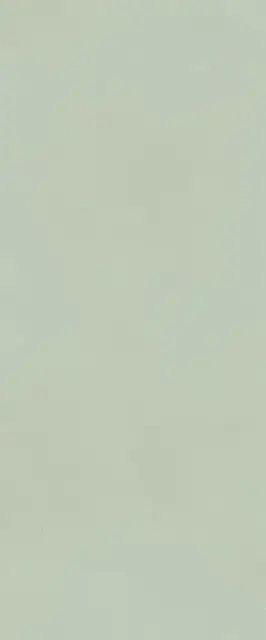 TRUE COLOR 50X120 MATCHA MATT