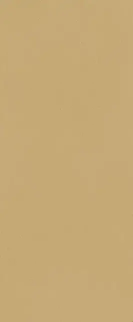 TRUE COLOR 50X120 CARAMEL MATT