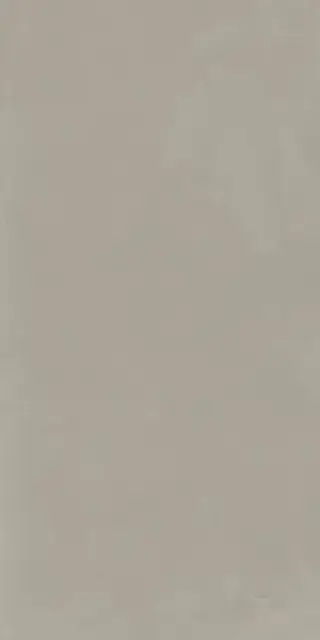 Syntech TAUPE 60X120 R9 RT