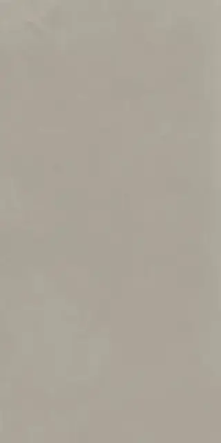 Syntech TAUPE 30X60 R9 RT