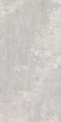 Londale SILVER 60X120 R9 RT