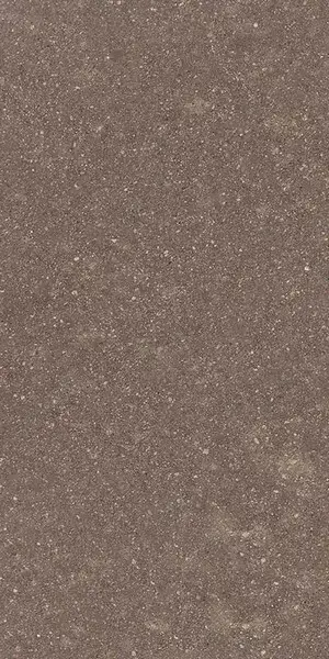 Limes Porfido Warm R11 22,5X45