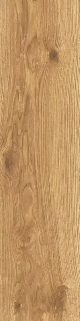 Journey HONEY 30X120X2 SPRT