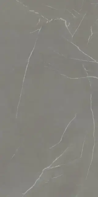 IN-SIDE Pietra Piasentina Grigio Fiammato 120x300 5+