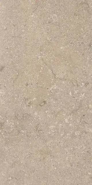 Heritage BEIGE 30X60 R11 RT