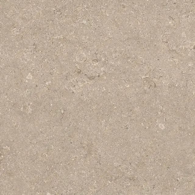 Heritage BEIGE 60X60 R11 RT